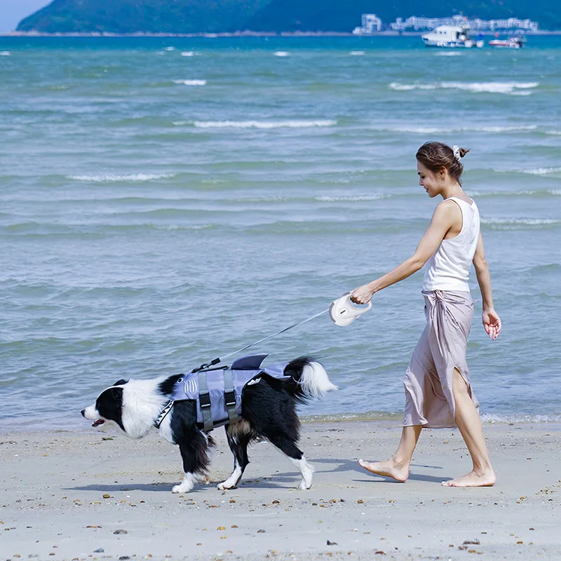 Wholesale Nylon Eco Friendly Webbing Retractable Pet Dog Harness Pet Leash