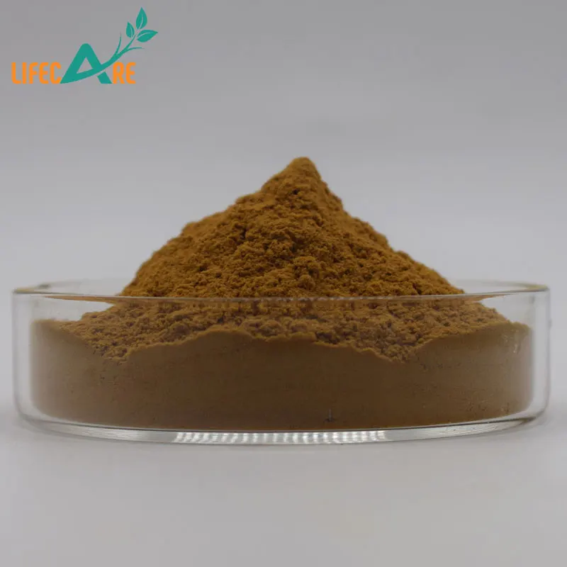 Lifceare Supply High Quality Black Truffles Mushroom Food Grade Black Truffle Extract