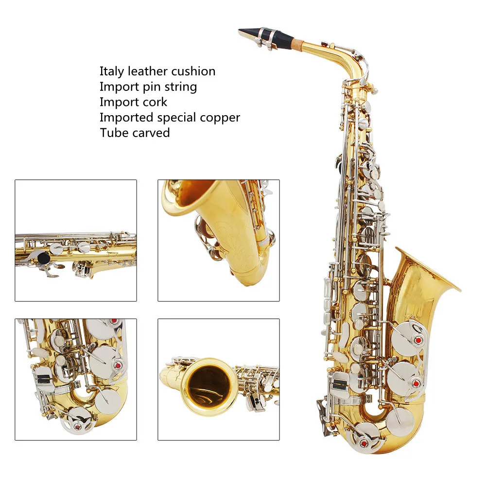 recommended  instrument   alto saxophone   lacquer gold    gold white shell  Eb saxophone