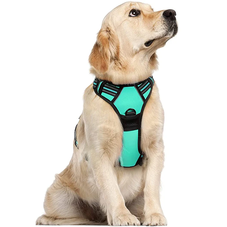 Amazon Best Seller Body Small Mesh Fashion Dog Pet Harness for Dog