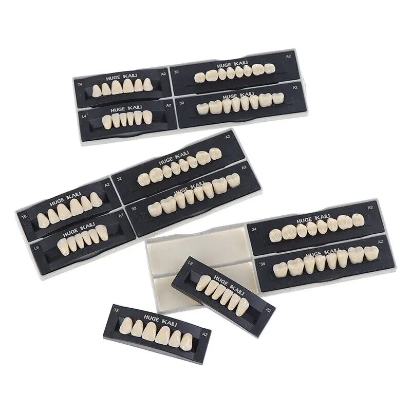 Two-layer Denture 16 A-D shades Colors Full Set Resin Dental Teeth Synthetic Polymer Teeth