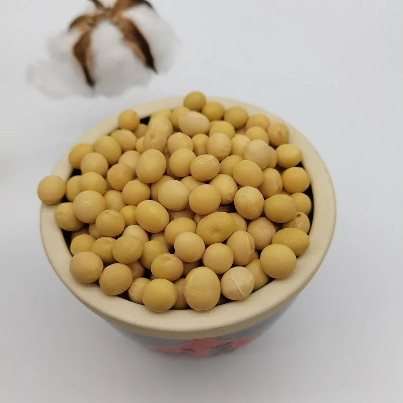 Высококачественные натуральные и без ГМО желтые соевые семена/соевые бобы оптом по низкой цене
