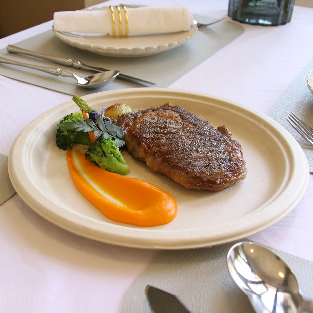 7-Inch Biodegradable Sugarcane Pulp Paper Plate Disposable Compostable round Dish Cake Fruit Lunch Bagasse Container