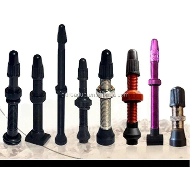 Schrader and Presto valve and Other Tubeless Bike Components