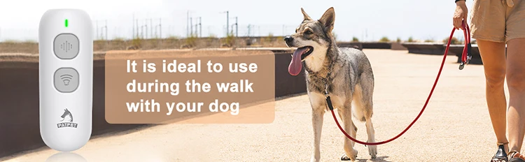 U01A+  -20201202 2.jpg