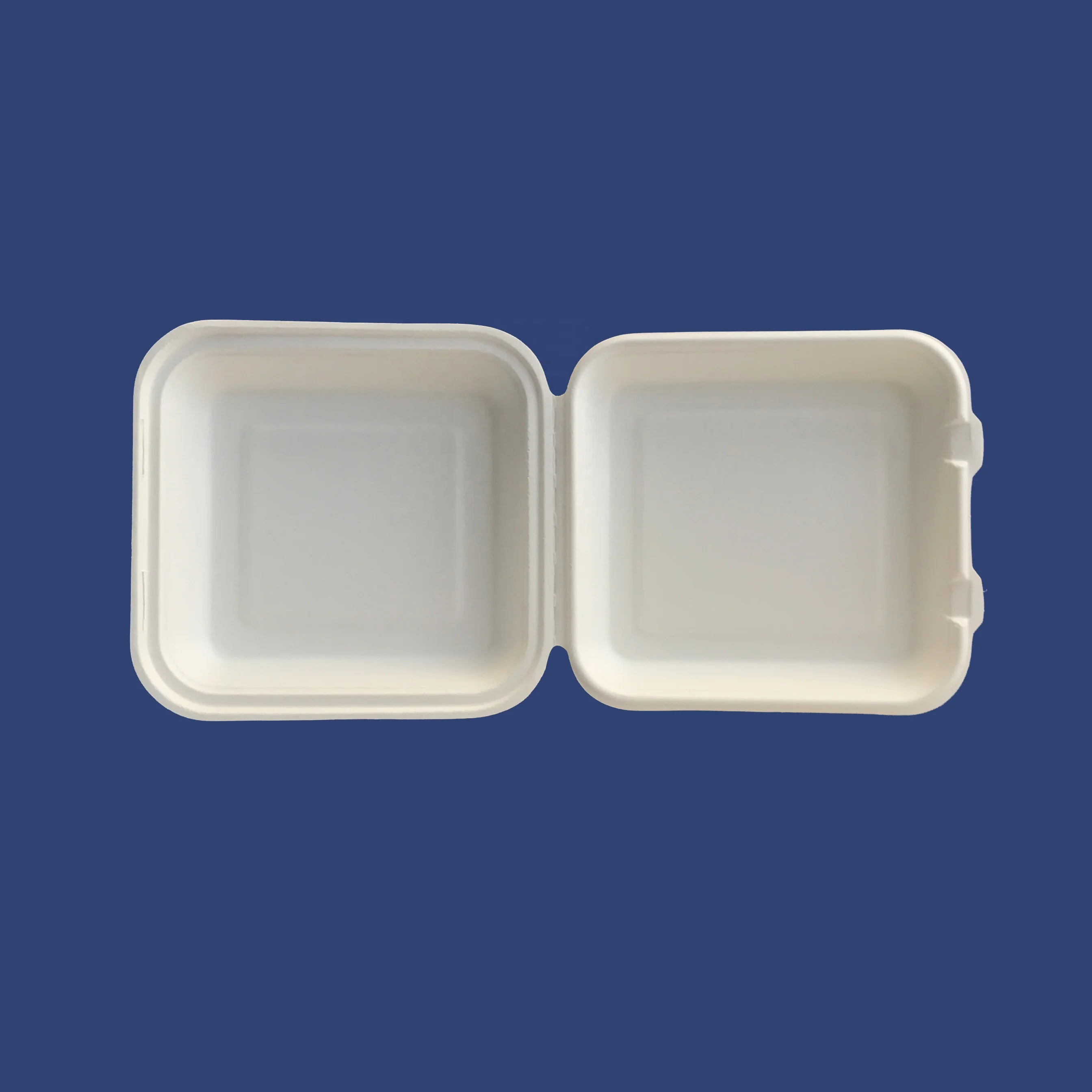 wholesale compostable sugarcane takeaway lunch box bagasse disposable biodegradable clamshell food container