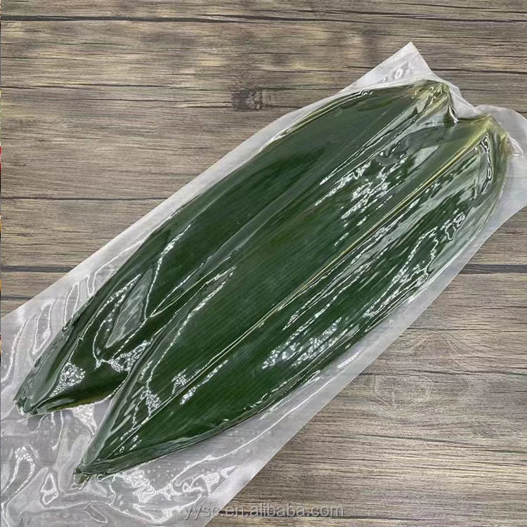Cheap Biodegradable Bulk Natural Bamboo Leaf Panda Fresh Green Leaves Products for Sushi Leaves Boat Party Decoration