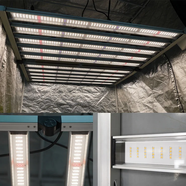 Meijiu ELT CE RoHs Verified Commercial Hydroponic 1000W Led Grow Light, Samsung LM301H LM301B Uv Ir Spectrum Grow Light Led