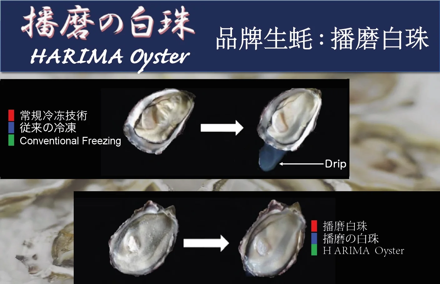 Замороженные морепродукты Устрица разумная