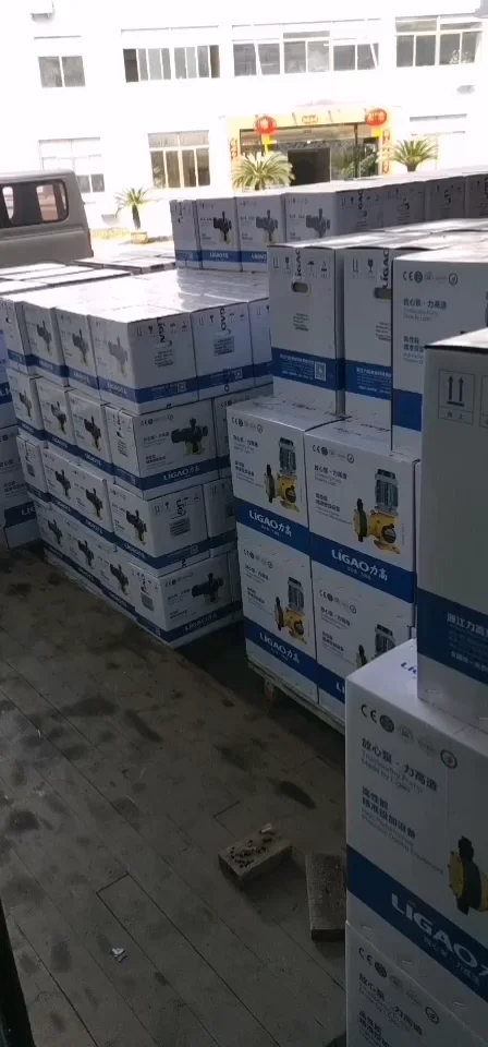 Small electric mechanical diaphragm metering pump (JBB)