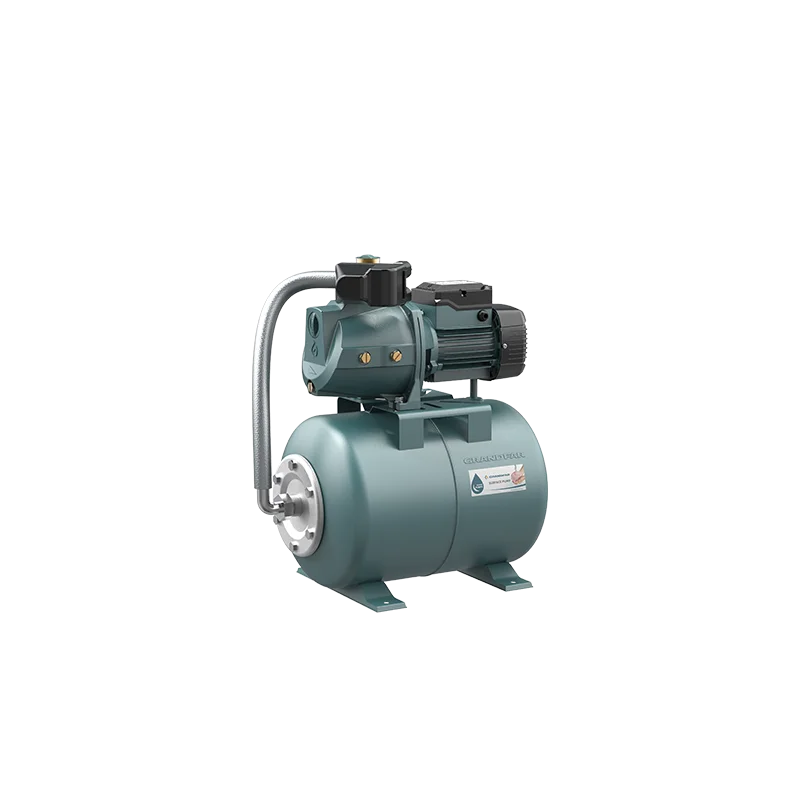 GRANDFAR Mini 220V 50Hz 750W 1Hp Automatic Electric Starter Diesel Water Pump Sets With Pressure Tank