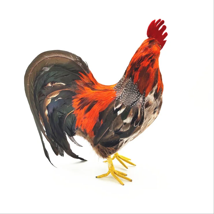 rooster henNMK