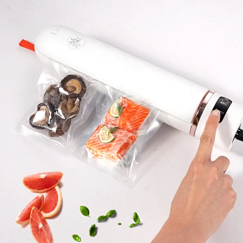 Hand Held 220V 110V Household Kitchen Food Packaging Machine Film Mini Size Vacuum Sealer Machine