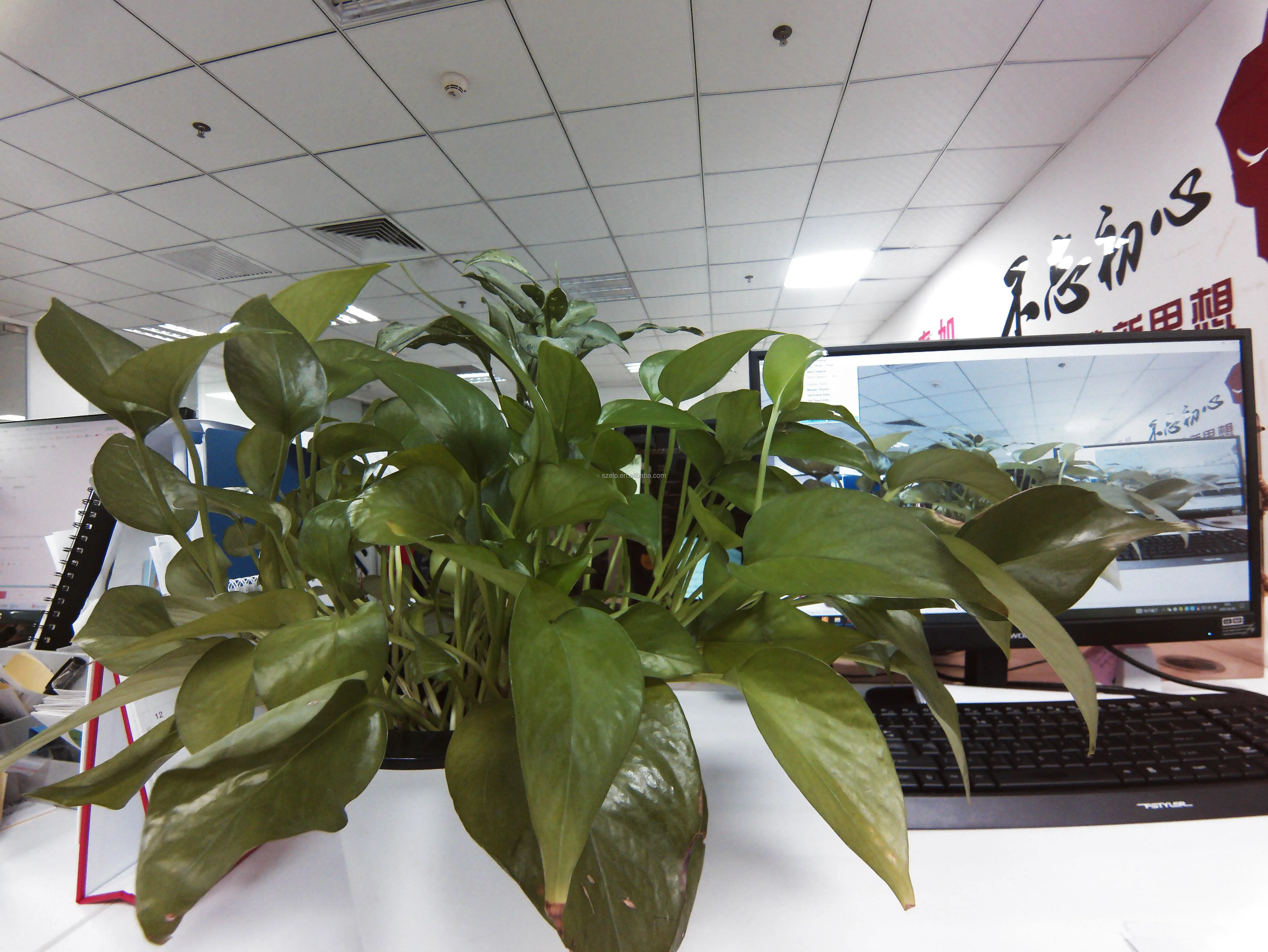 16MP Camera(4656X3496).jpg