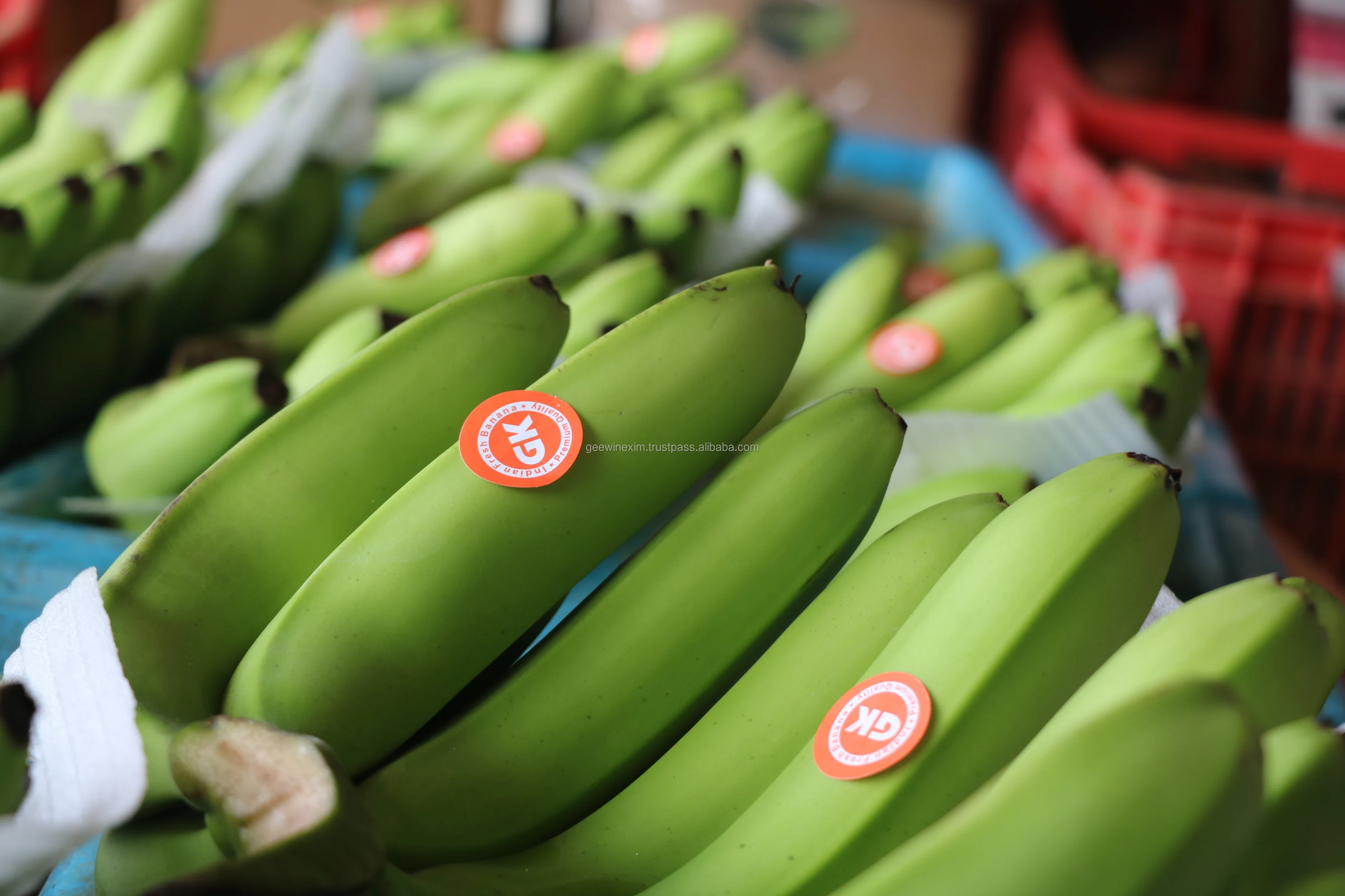 Свежий банан CAVENDISH премиум-класса