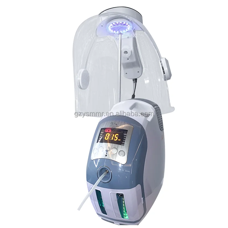 2024  High quality Facial oxygen machine skin care Led mask therapy machine oxygen skin rejuvenation