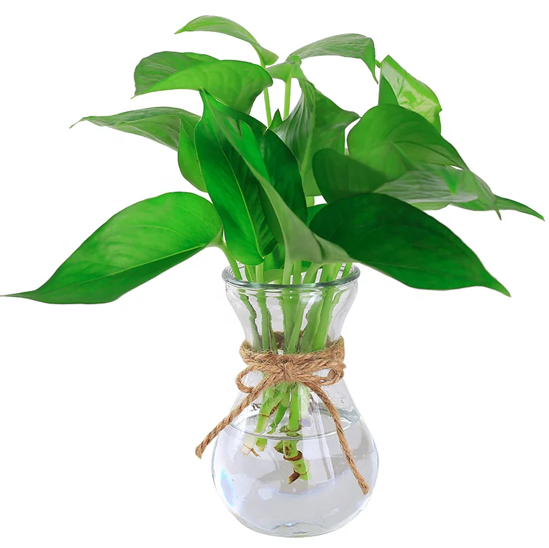 250ml European Style tall taper shape flower hydroponic scindapsus glass bottle plant aureus  home decoration luxury vase jar