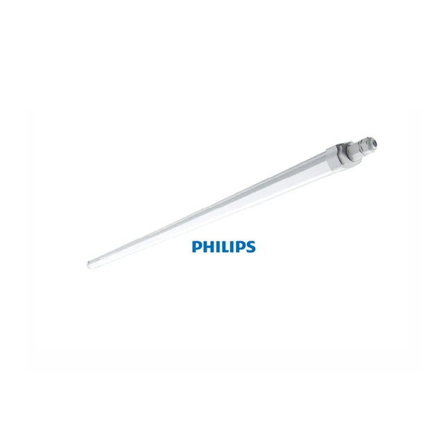 Philips Smartbright водонепроницаемый свет WT068C G3 L600 L1200 L1500 NW CW