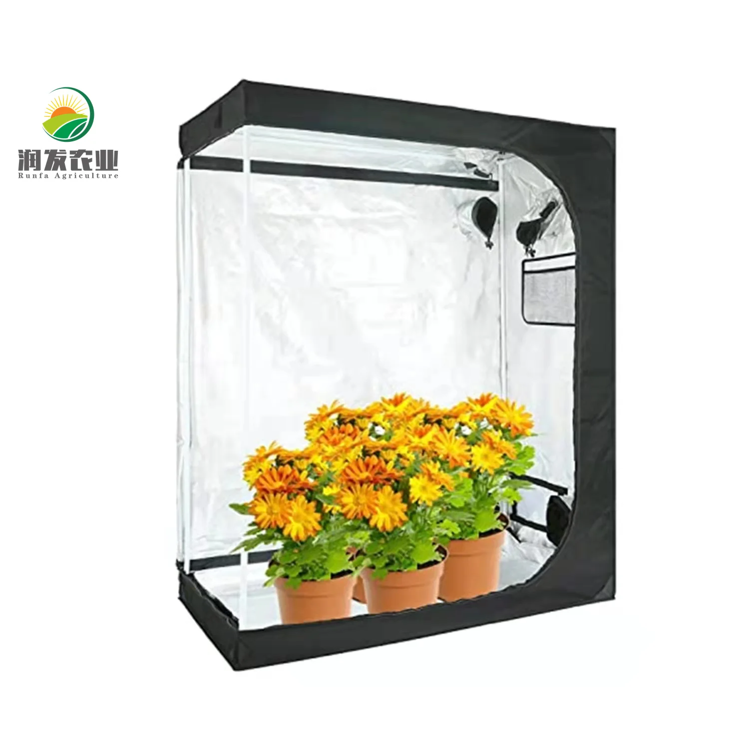 Plant Growth Tent Black Color Indoor Agricultural Greenhouse Hydroponic Equipped With Plant Growth Lights