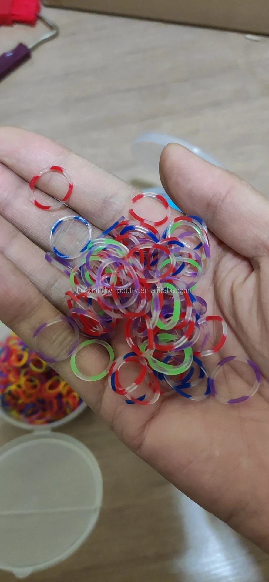 Equine Horse mane Bands and Bracelet for the horse