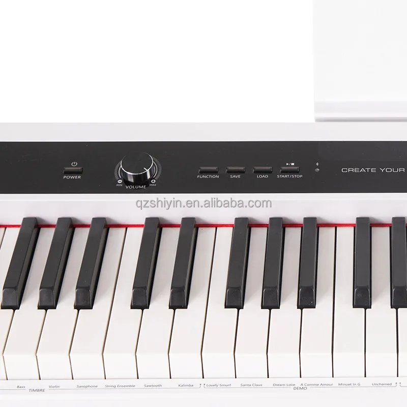 Digital Pianos musical instrument retail chain for piano store