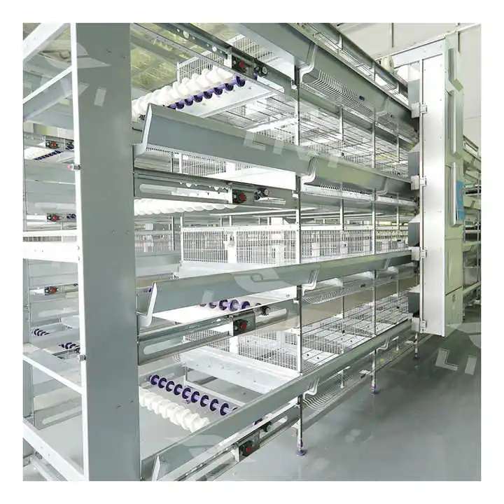 Automatic H Type 4 Tiers Bird-Harvesting Broiler Raising Cage for Layer Chicken Raising Poultry Farm