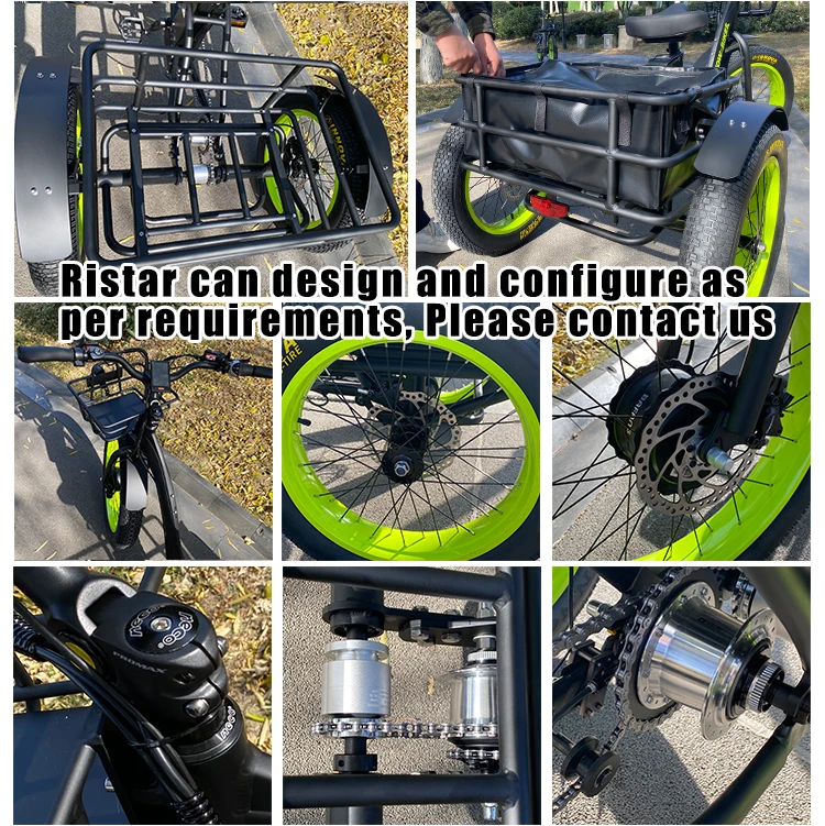 200Kgs Load 3 Wheel Fat Tire Electric Cargo Bike Tricycle Trike 48V 500W 750W 24 Inch Electric Bicycle Electric Cargo Bike