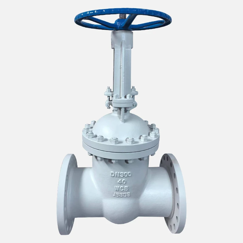 Russian Standard GOST Gate Valve Manual Cast Steel WCB PN16 PN25 Steam Oil And Gas Pipeline Flange Gate Valve