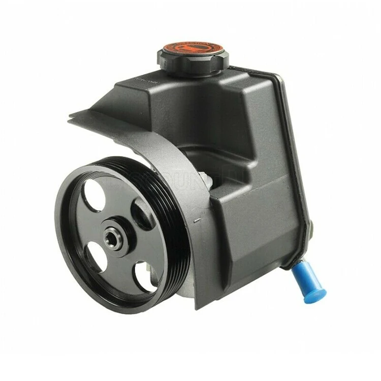 for citroen berlingo 1.9 d Power steering pump 9643691180 9634816080 9662128780 9644878380 9638931980 4007EF