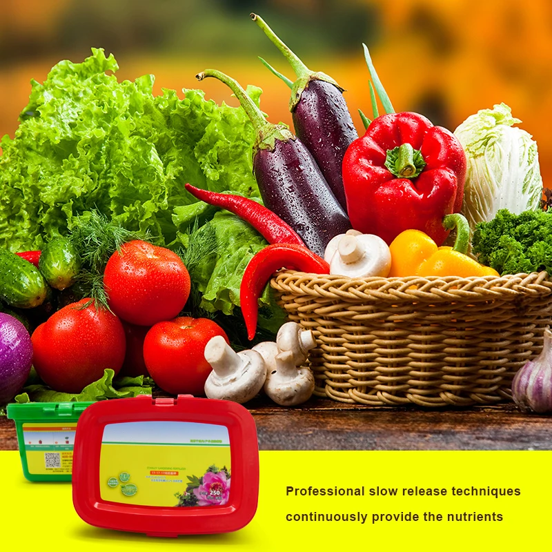 
NPK 17 17 17 potassium sulfate granular fertilizer cheap price best vegetable fruit fertilizer house garden plant fertilizer 