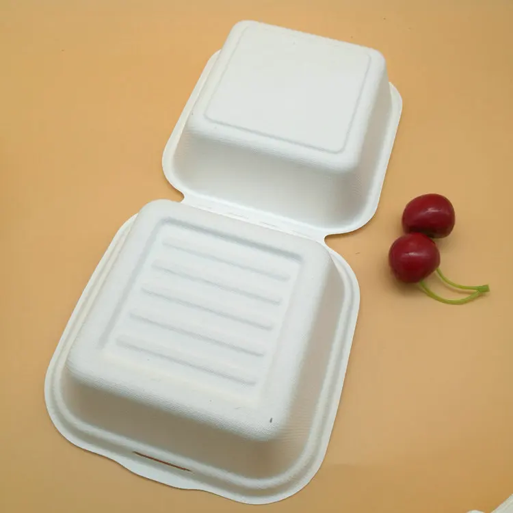 
biodegradable sugarcane pulp 6