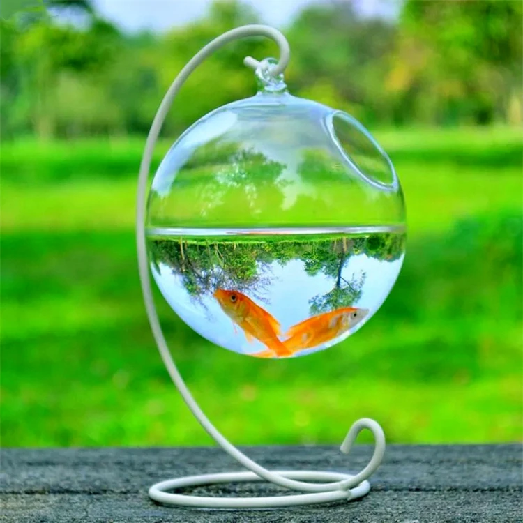 Cheap Price Wholesale Creative Design Small Home Living Room Office Decoration Glass Fish box