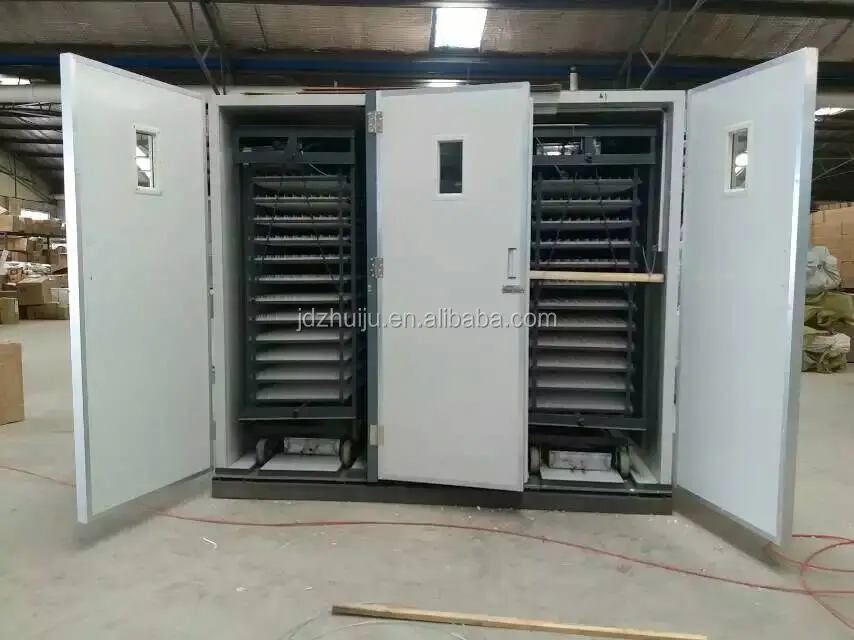hottest sale high quality pas reform full automatic chicken egg incubator /504 ostrich eggs
