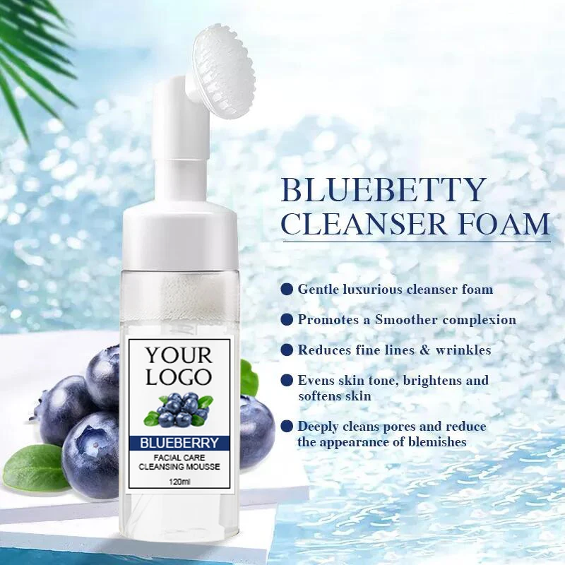 Best Face Cleanser Private Label Wholesale 120ML Organic Fruity Mousse With Brush Gentle Face Cleanser