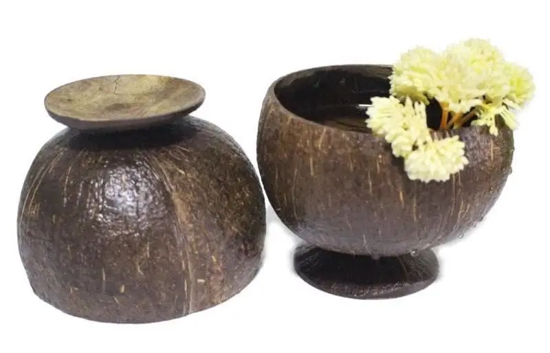 Fancy Handicraft Ice Cream Cup Customized Natural Coconut Cups for Hawaiian Party