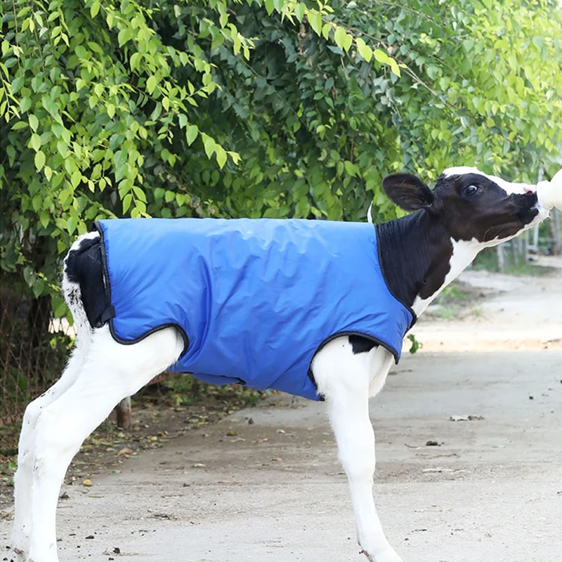 Great Farm Best Seller Durable Waterproof Cotton Livestock Warm Clothes for Calf Home Use Animal Farm