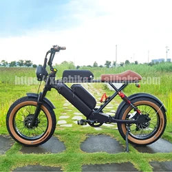 Dual Motor 48V F 500W & R 750W Powerful Electric Fat Bike 3 Battery Long Range Retro E-bikes Snow Electronic Bicycle