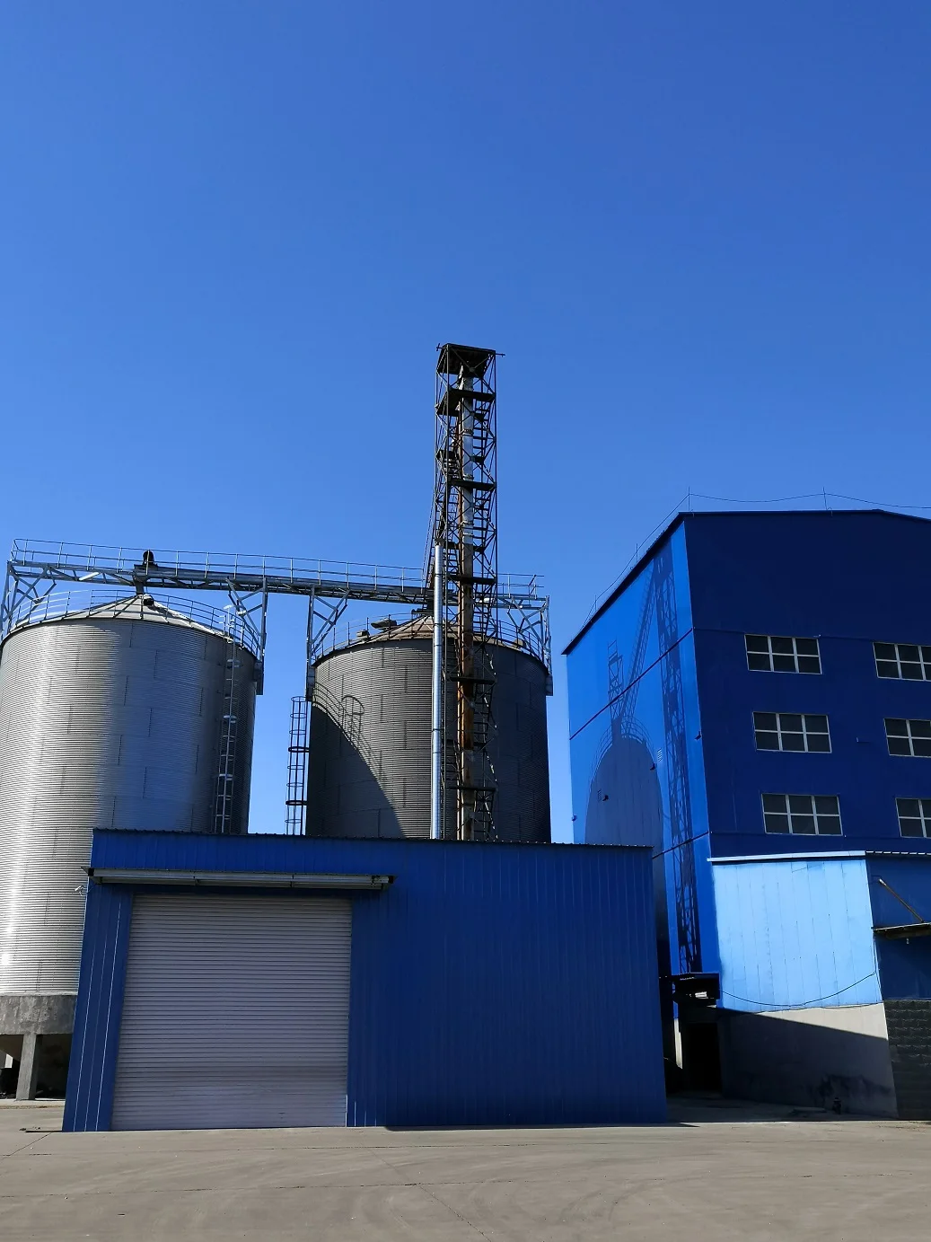 high Quality Standard Hot Sale 2.5% Weight Gain Fast Growth Fattening  best  pig vitamin