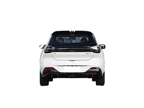 2024 высококачественный небольшой автомобиль Dongfeng Nano 01 330 км LHD электромобиль с хорошей производительностью