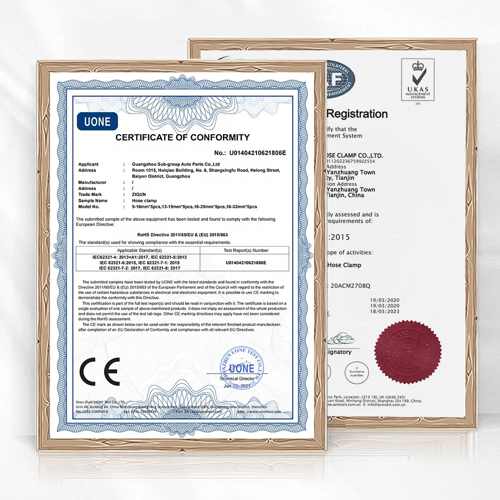 Single Ear Hose Clamps 304 Stainless Steel 6-33.1mm Stepless Cinch Rings Crimp Assortment Kit Ear Clamp Pincer for Securing Pipe