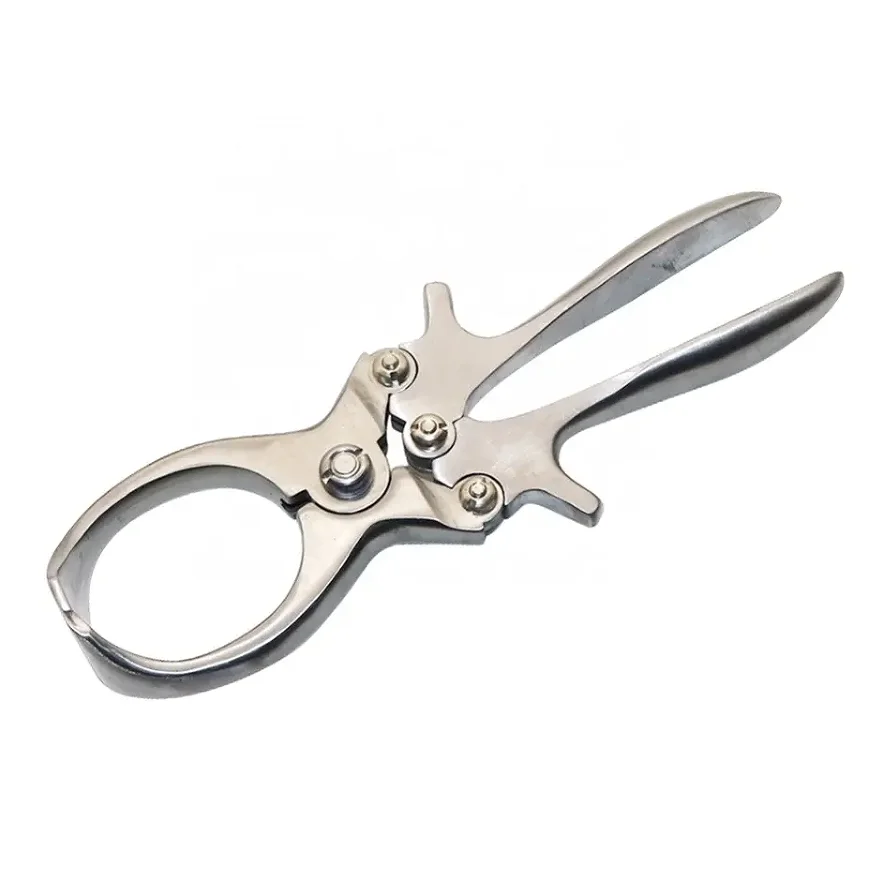 Stainless Steel pig Castration Clamp Forceps For Veterinary Use