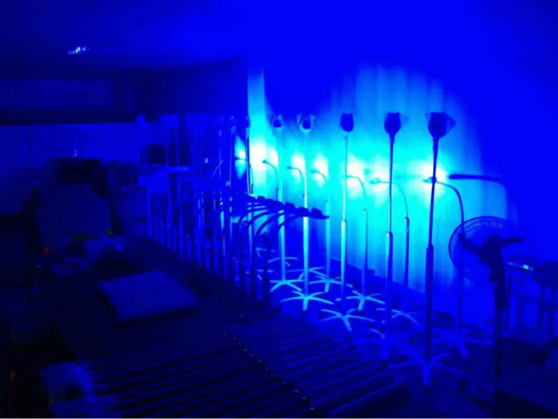 Professional led teeth whitening accelerator machine blue technology whiten tooth beauty salon teeth bleaching lamp