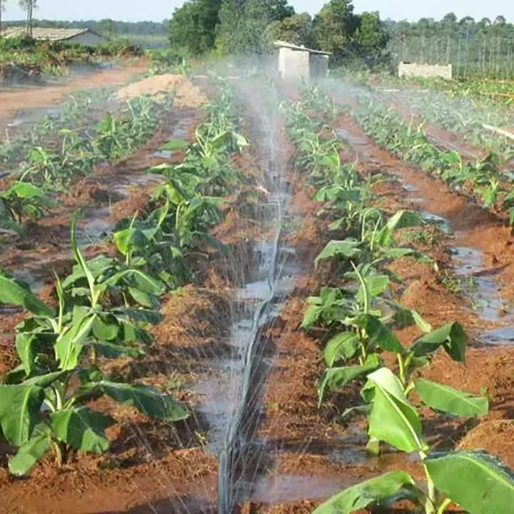 Agricultural Watering Irrigation System Garden Pe Hose Farm Spray Irrigation System Tube Micro Flat Spray Tape Rain Hose Pipe