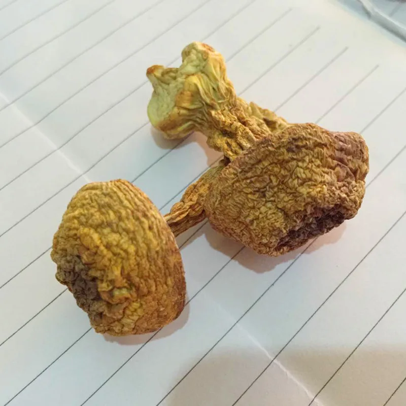 High Quality Dried Wild Tricholoma Matsutake White Pine Mushroom Songrong For Soup Cooking