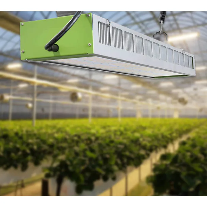 Waterproof Dimmable  full Spectrum 630w Indoor Strawberry Flowering Medical Plant greenhouse light grow lamp