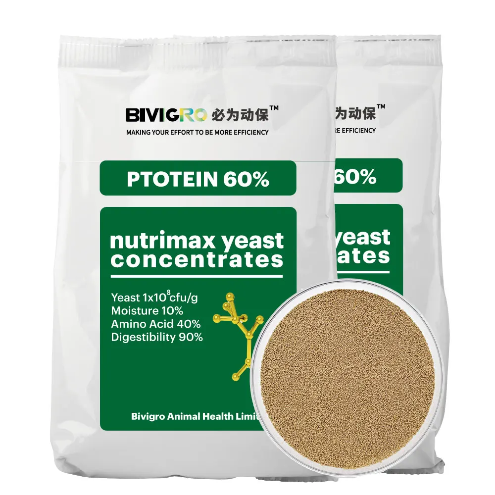 Competitive Meat And Bone Meal Price Protein 65% Substituted Nutrimax Yeast Protein Meal