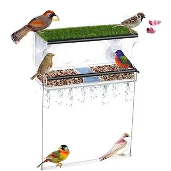 BOCHENG Window bird Feeders Acrylic Window cage Clear Bird water for Viewing