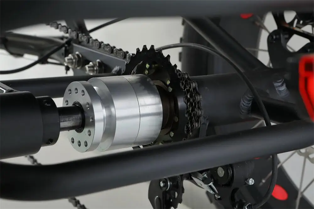 Tricycle Electric Trike heat insulation 20 Inch 750W Motor Fat Tire 3 Wheel E Bike Tricycle