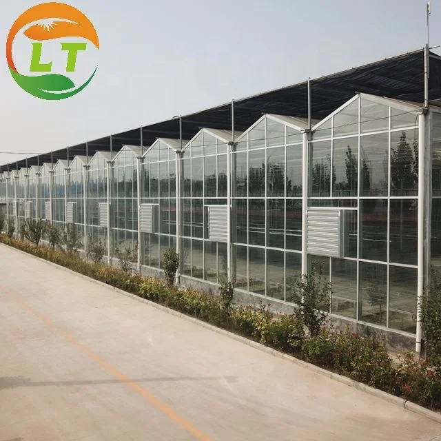 Multi-span Glass Greenhouse With High Yield Outstanding Economic Benefits