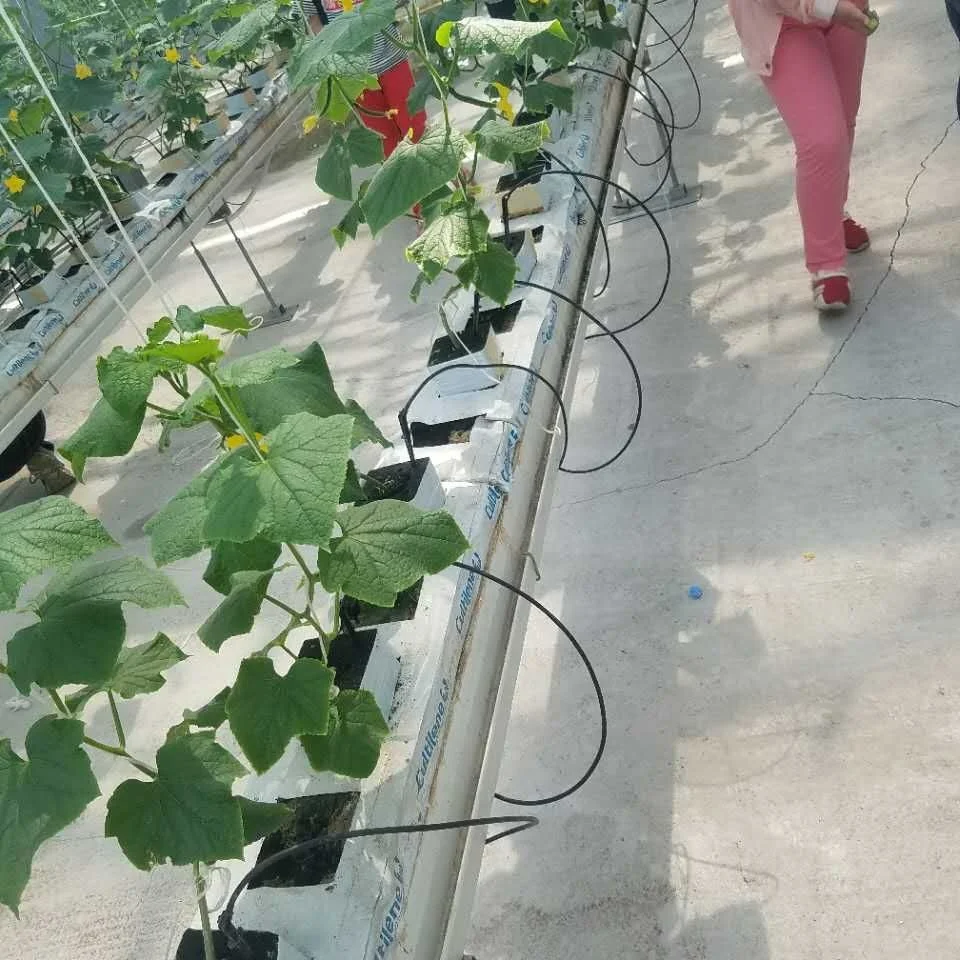 Factory direct sales of white tomato and coconut planting bag agricultural greenhouse equipment